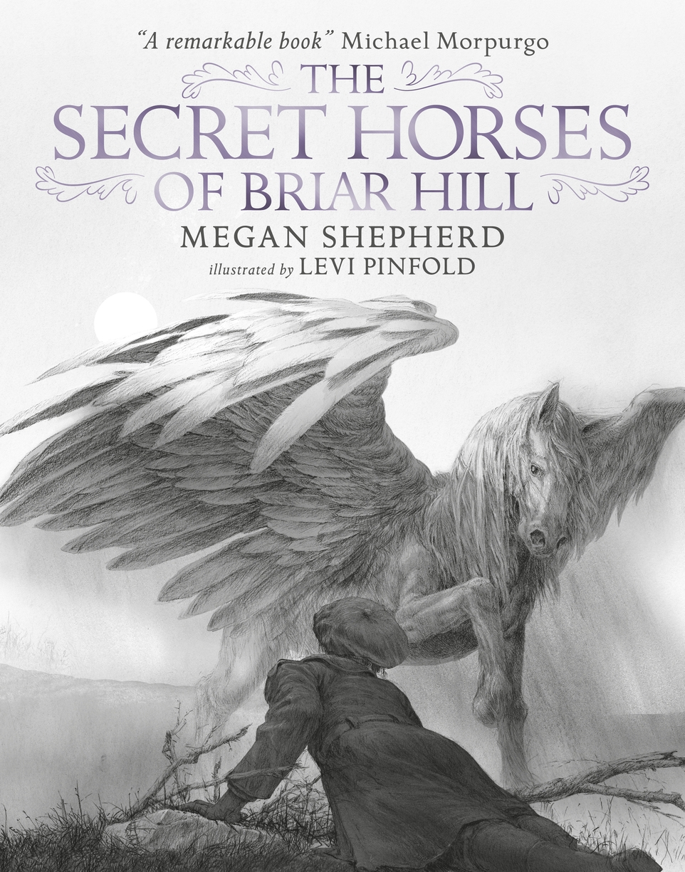 Secret Horses of Briar Hill