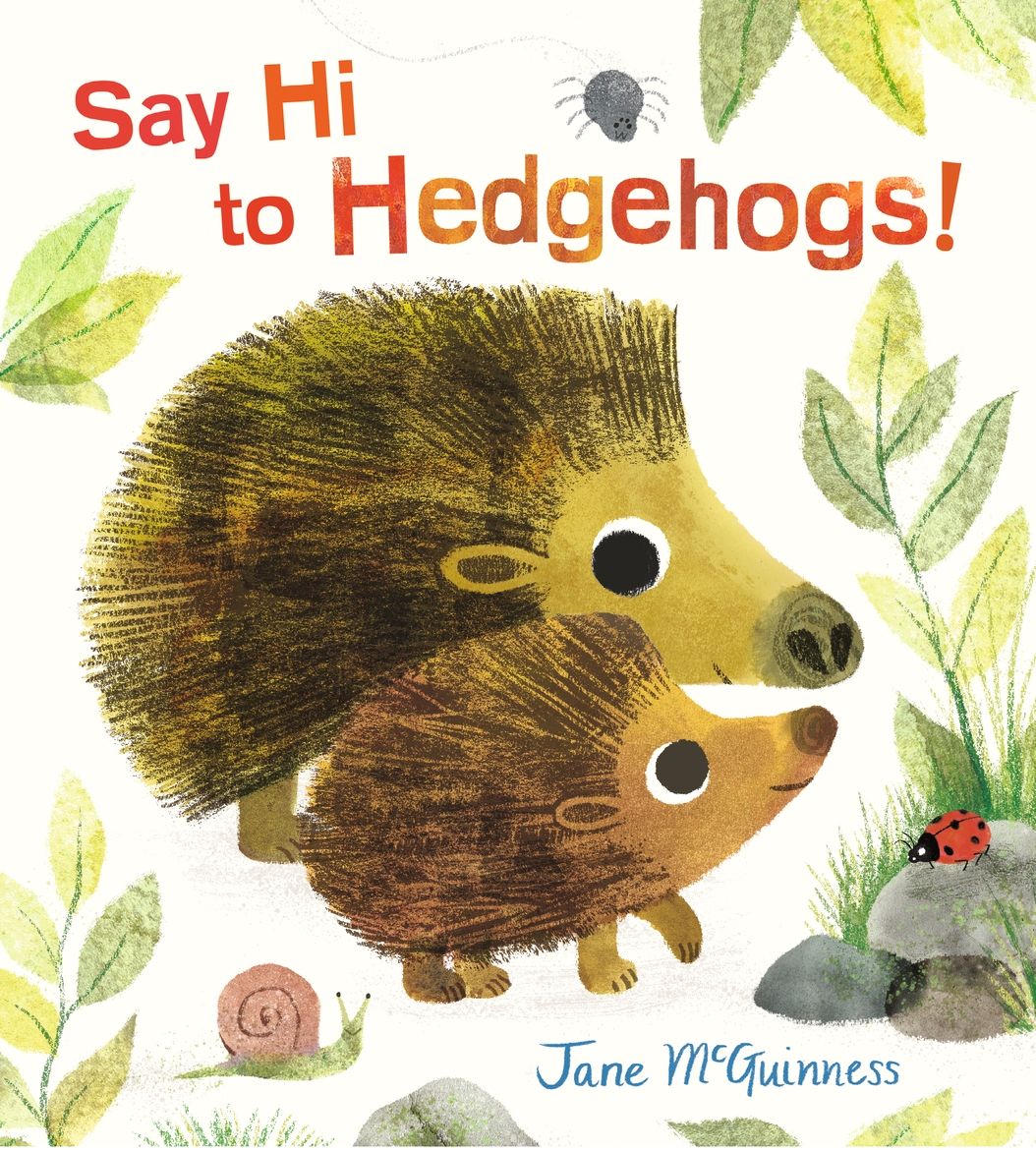Say Hi to Hedgehogs!