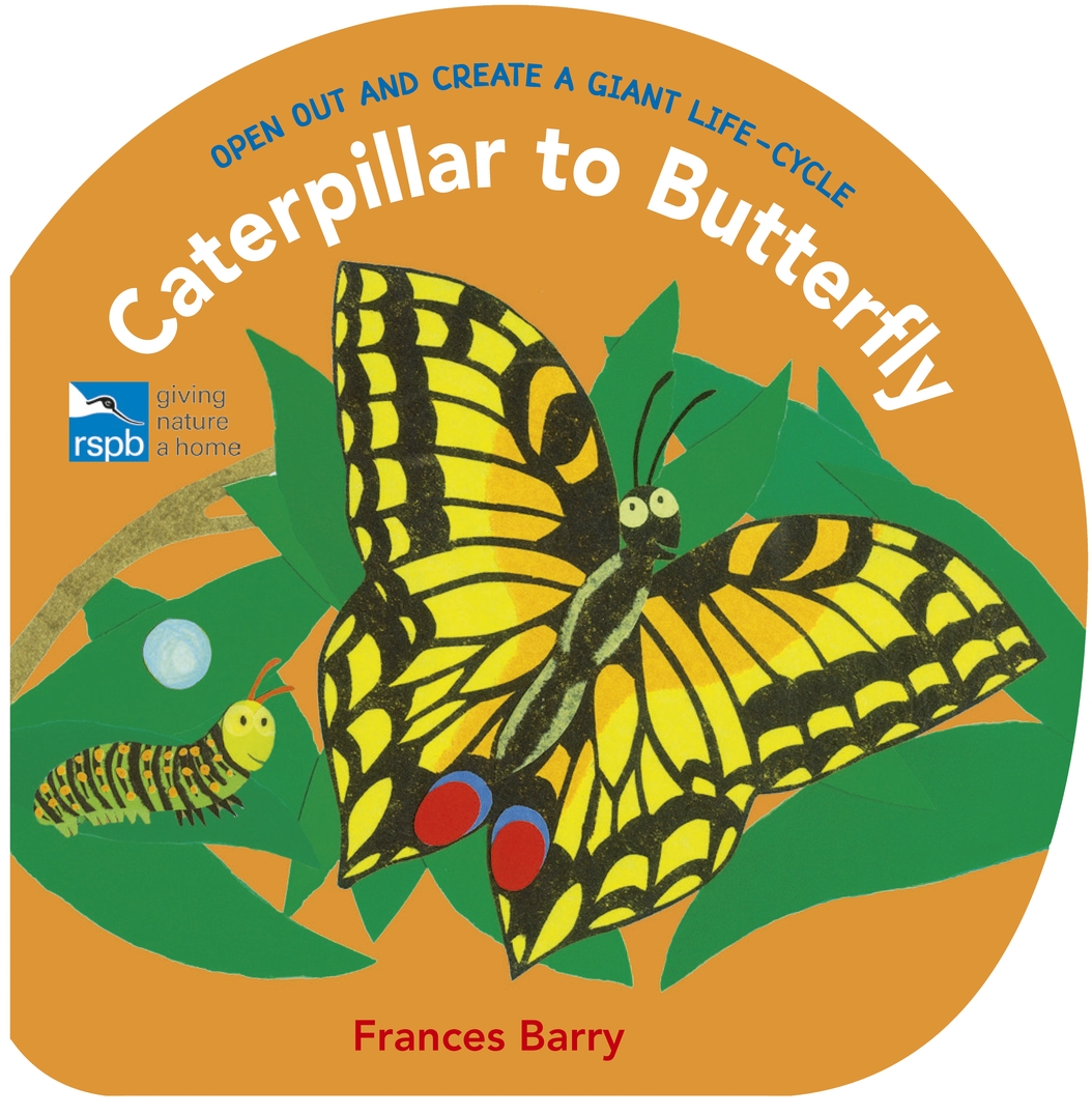 Caterpillar to Butterfly