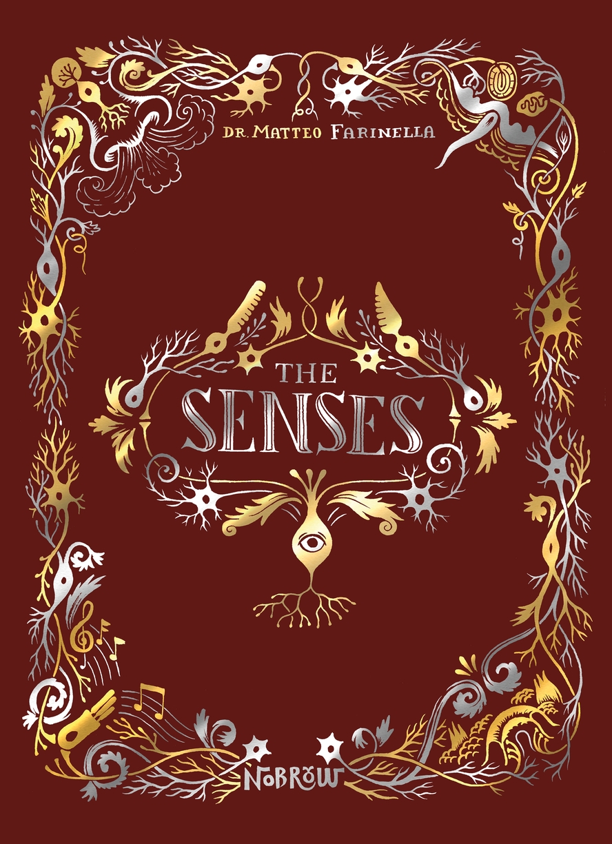 Senses